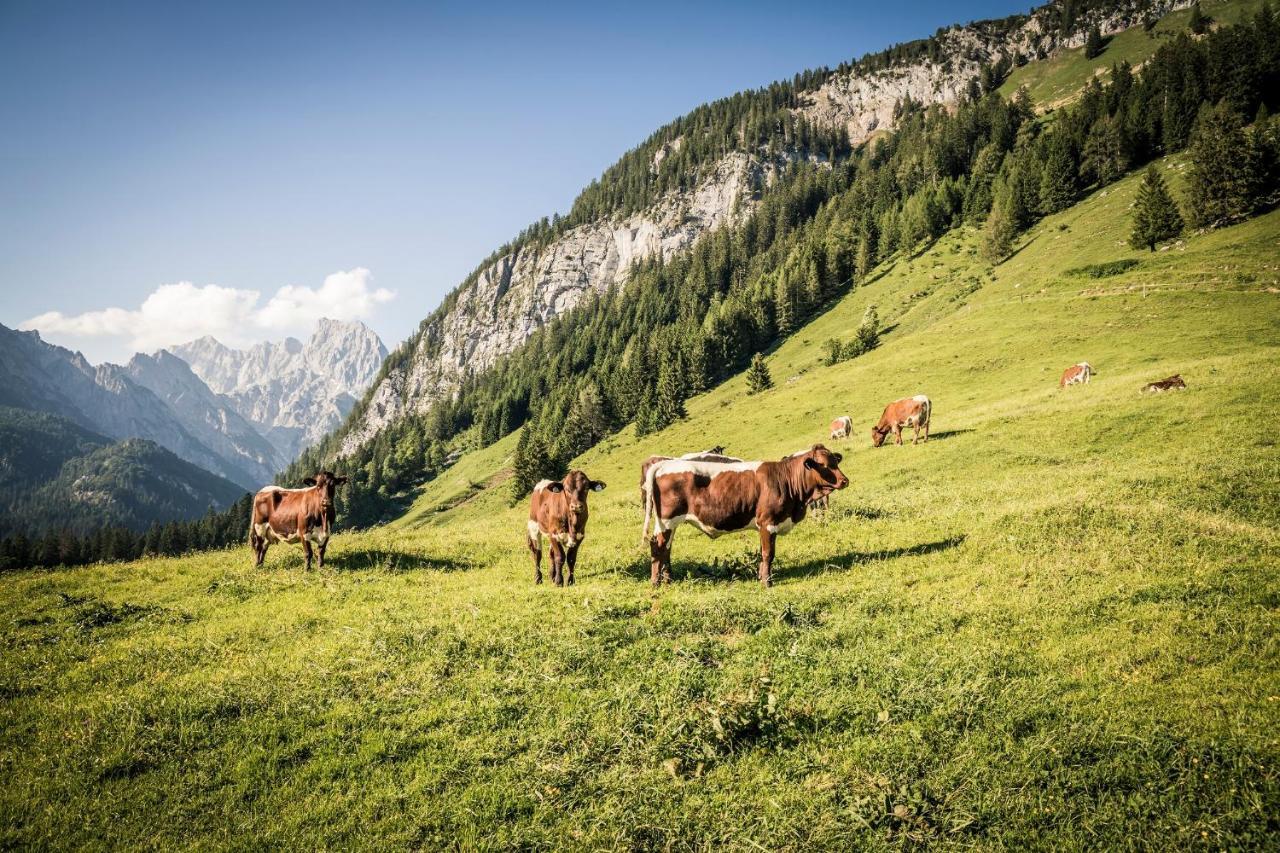 Exklusive Fewo Drachleck Mit 3 Schlafzimmern & Panoramabergblick In Bester Lage Schönau am Königssee Kültér fotó